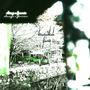 always n fourrevr (Explicit)