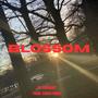 Blossom (feat. MidNIGHT)
