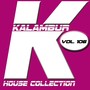 Kalambur House Collection Vol. 106