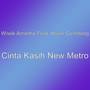 Cinta Kasih New Metro