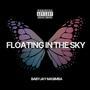 Floating in the Sky (Explicit)