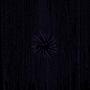 Still Urchin (Explicit)