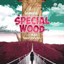 Special Wood (Explicit)