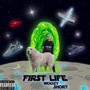 First Life (Explicit)