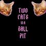 Two Cats In A Ball Pit