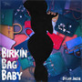 Birkin Bag Baby (Explicit)