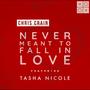 Never Meant To Fall In Love (feat. Tasha Nicole)