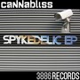 Spykedelic EP