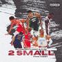 2 SMALL (feat. Lazzey B. Floe) [Explicit]