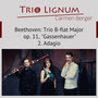 Trio B-Flat Major Op. 11, 