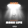 More Life (Explicit)