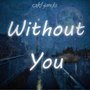 Without You