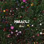 Miracle