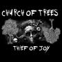 Thief of Joy