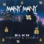 Many Many (feat JAAMES) [Explicit]