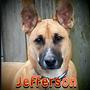 Jefferson