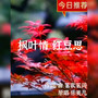 倾城古风原创专辑