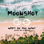 What Do You Want (Moonshot Remix)