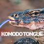 komodo tongue