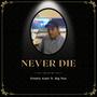 Never Die (feat. Big Pun) [Explicit]