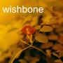 Wishbone (feat. Usama Siddiq, Imaginary Nation & James Inferno)