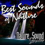 Best Sounds of Nature