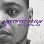 Amethyst Reign (Explicit)