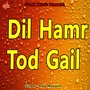 Dil Hamr Tod Gail