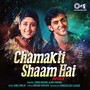 Chamakti Shaam Hai (Remix)