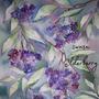 elderberry (Explicit)