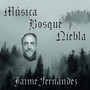 Música, bosque y niebla