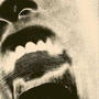 Afterlyfe (Explicit)