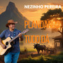 PLANTANDO TUDO DÁ