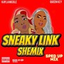 Sneaky Link Shemix (Sped Up Mix) [Explicit]