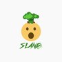 Slang