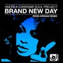 Brand New Day (Piers Kirwan Remix)