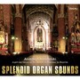 Splendid Organ Sounds