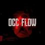 Occ Flow Pt. 2 (Explicit)