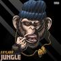 JUNGLE (Explicit)