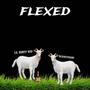 Flexed (feat. Nicknxtdoor) [Explicit]