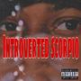 Introverted Scorpio (Explicit)