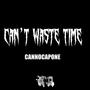 Can't Waste Time (Explicit)