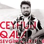 Sevginin Şerefine