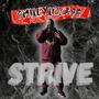 STRIVE (Explicit)