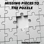 Missing Pieces To The Puzzle