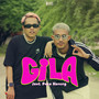 Gila