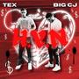 H.Y.N (feat. Big CJ) [Explicit]