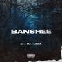 Banshee (feat. Spectrax)