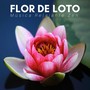 Flor de Loto: Música Relajante Zen de Meditación para la Paz y la Armonía, Antistres