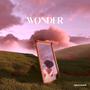 Wonder